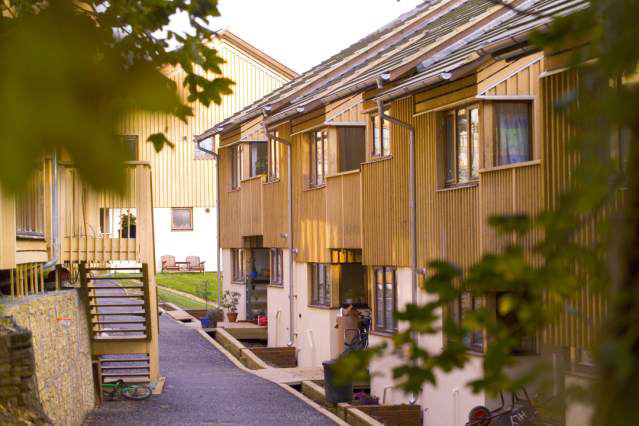 View to the east, leafy grove with pedestrian street and our beautiful houses