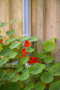 Flowers, wood and steel