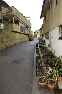 the rill west end, with plants